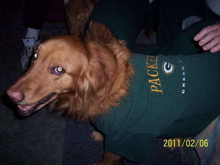 Janet Lampton's album, superbowl packerbackers