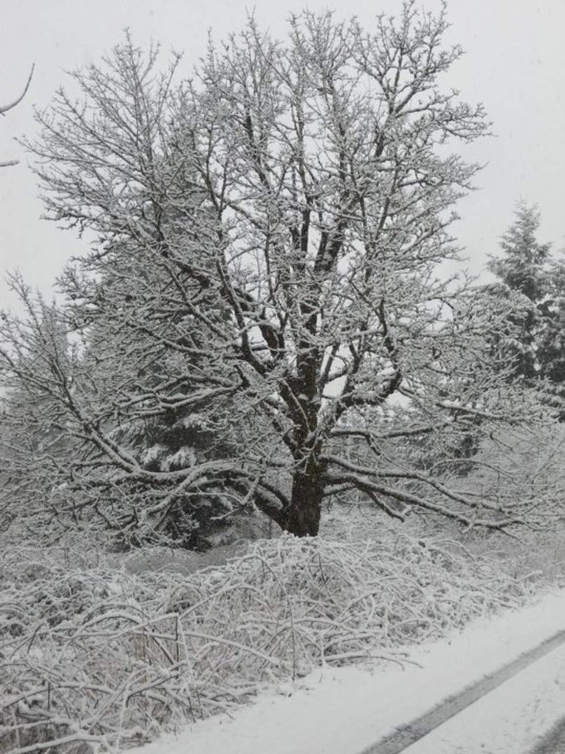 Jeffrey Eustis' album, Snow day!