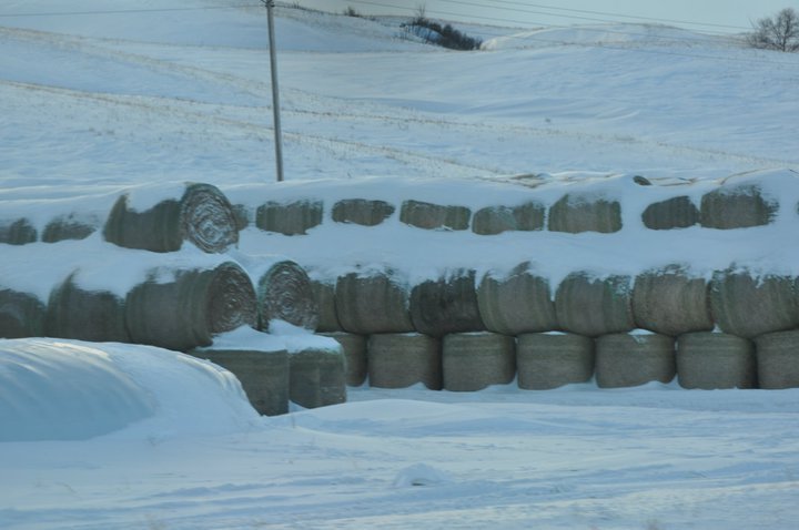 Edward Asbert's album, Cananda trip January , 2011