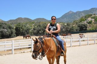 Jerry Allocco's album, Riding  Horses