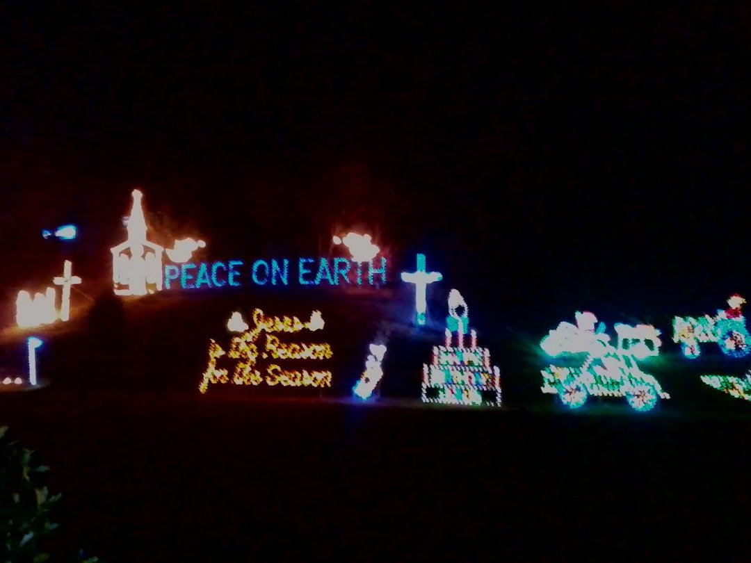 Elizabeth Shupe's album, Cover Photos