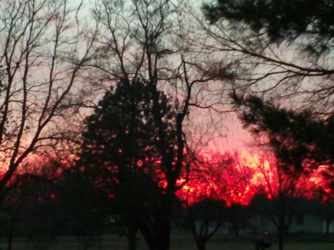 Rose Mayginnes' album, Timeline Photos