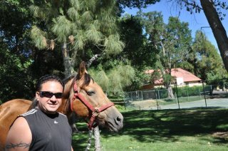 Jerry Allocco's album, Riding  Horses