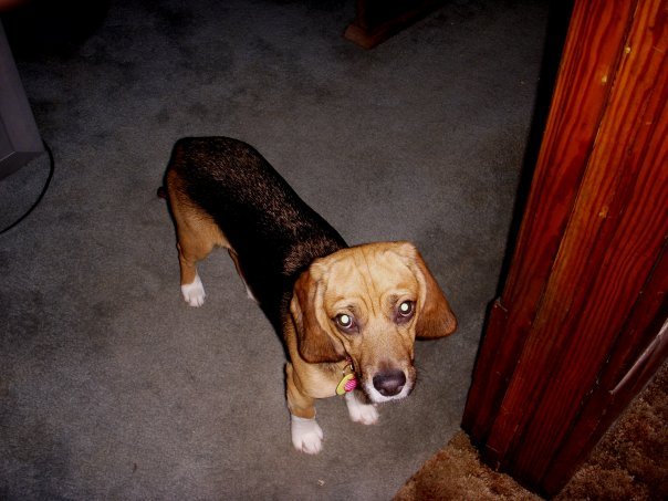 Debbie Olson's album, Profile Pictures
