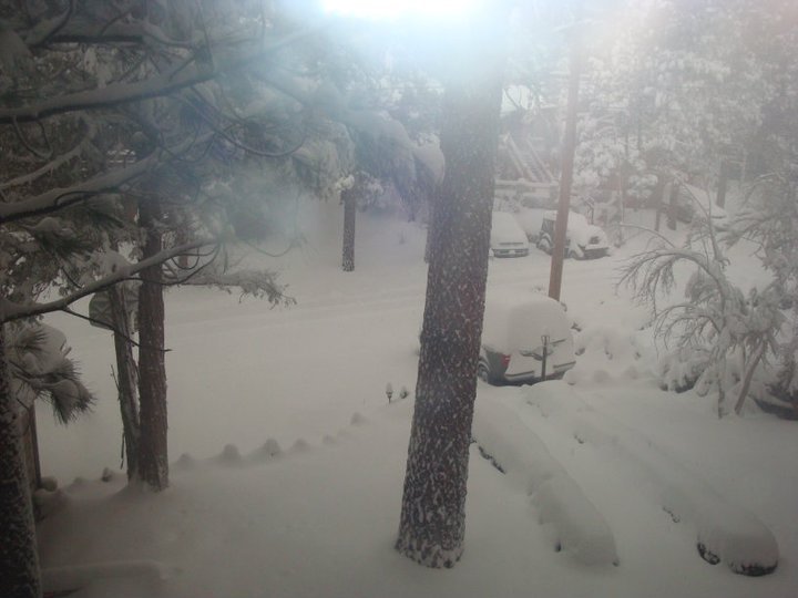 Karen Wagoner's album, February 28, 2011