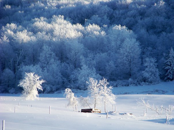 Kathryn Pfendler's album, Snow Day