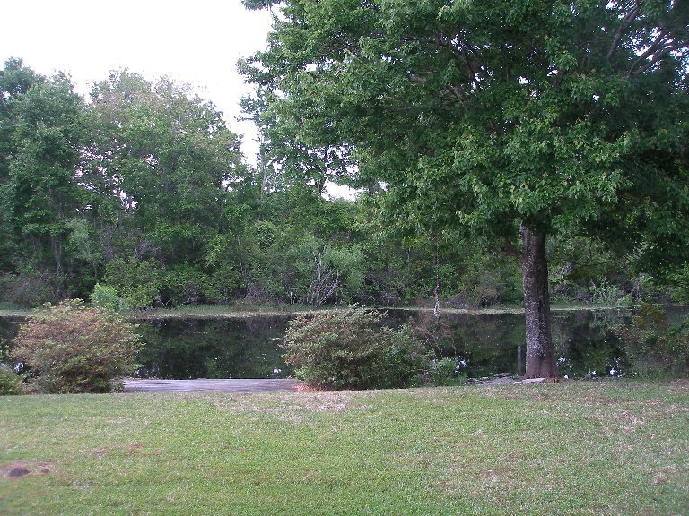 Mary Klemonsky's album, Rehab house