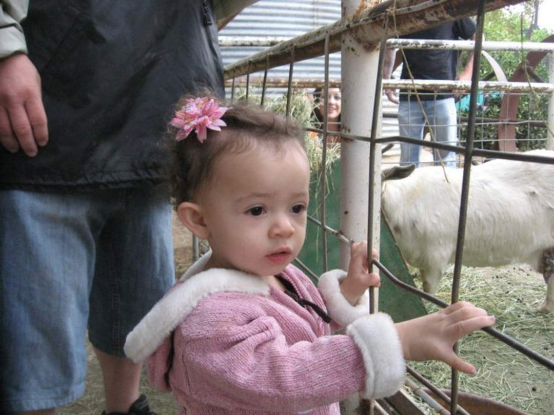 Chris Samuelson's album, Baby Girl