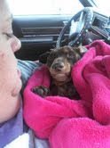 jerome petterson's album, Timeline Photos