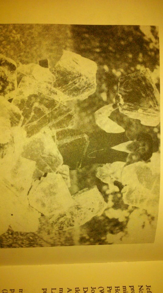 Wayne Gilmore's album, Rocks