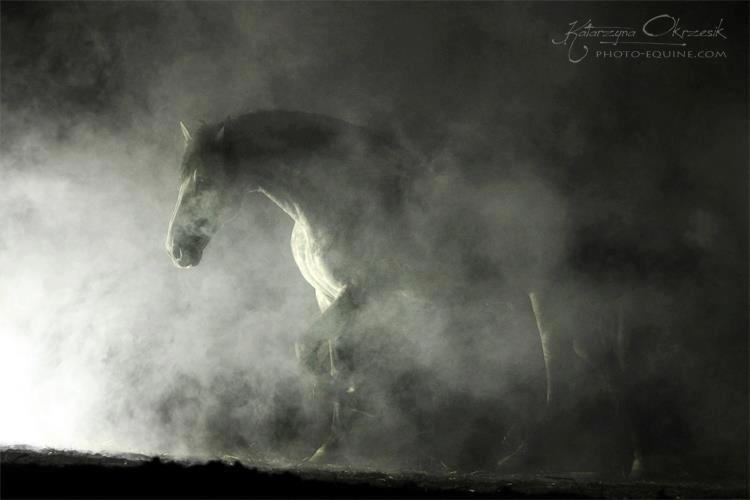 Debbie Mendez's album, Cover Photos
