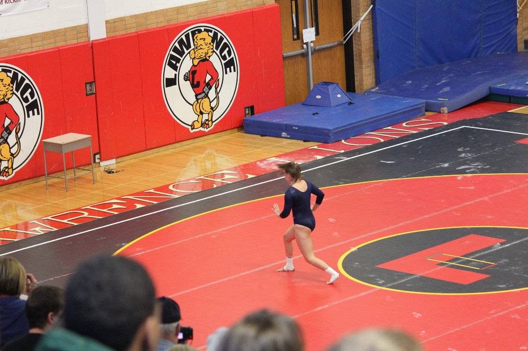 Mike Mann's album, State Gymnastics