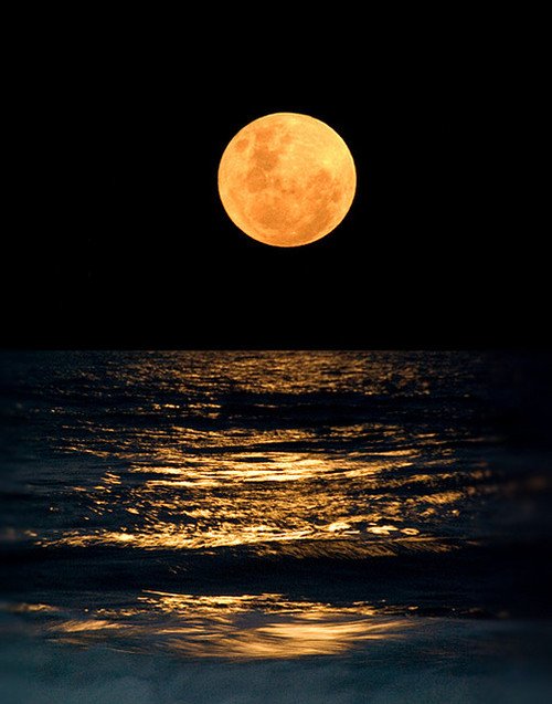 Lisa Deloria's album, Cover Photos