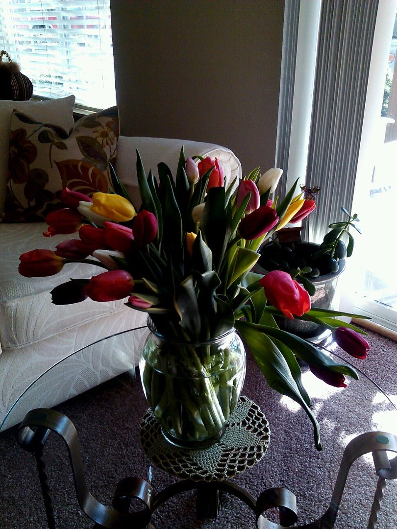 Debbie Walker's album, Mobile Uploads