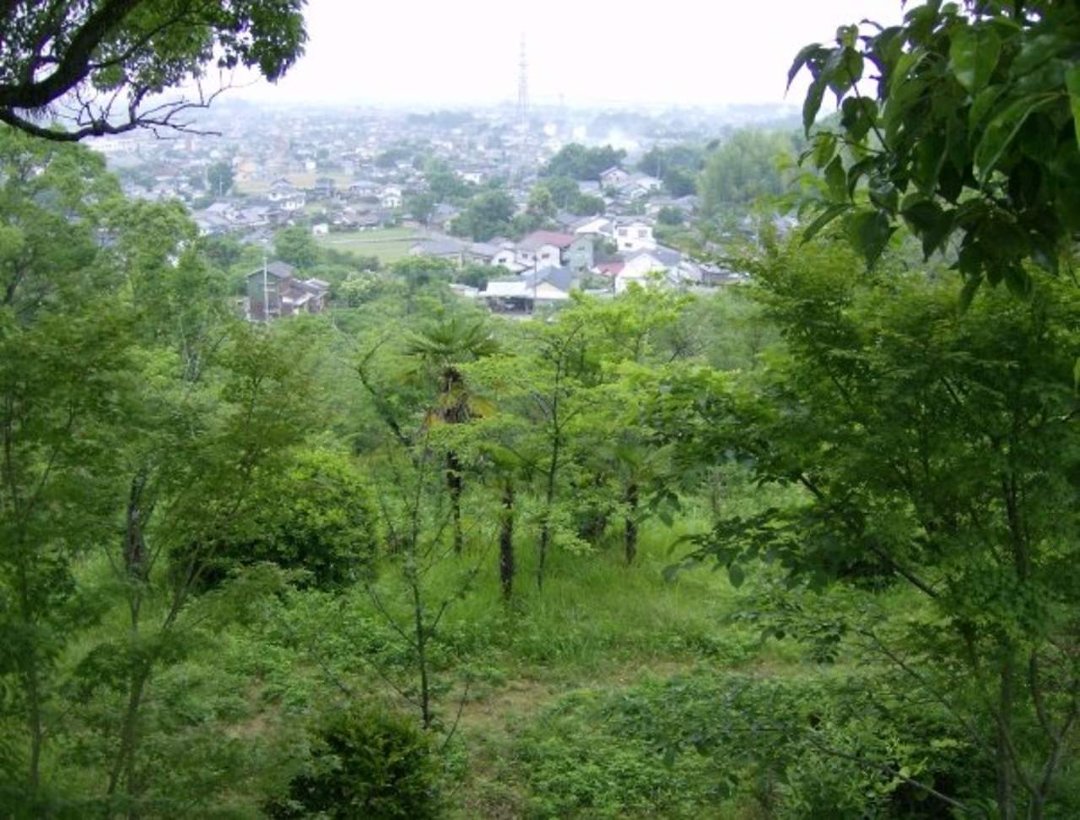 Robert Coats' album, Coats Family in Japan (2007-2008)