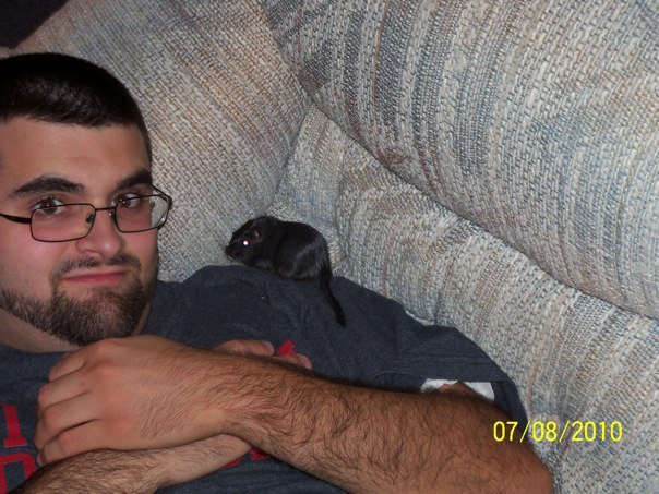 Lisa Risvold's album, Travis_Gerbils