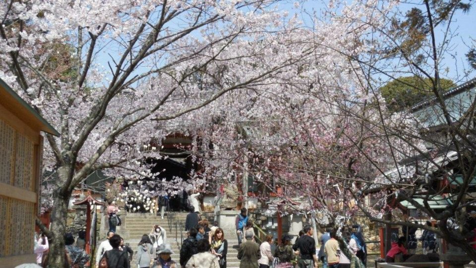 Dan Hesser's album, Japan, March - May 2013 - Osaka