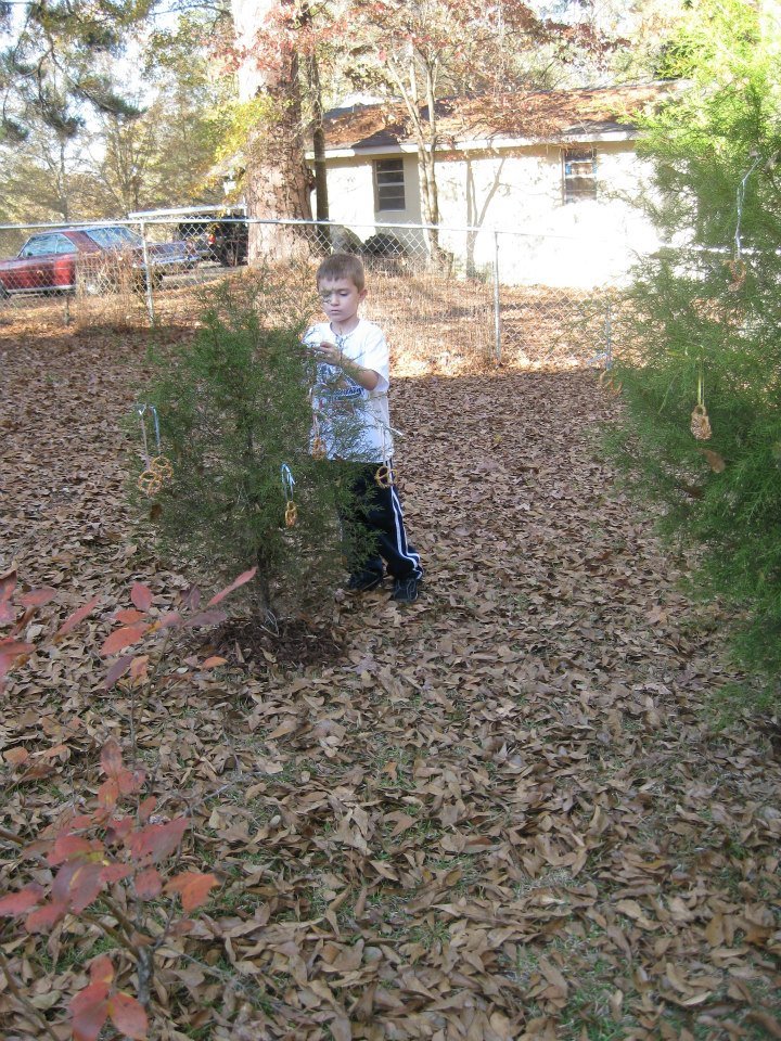 Irene Bohn's album, Thanksgiving 2012