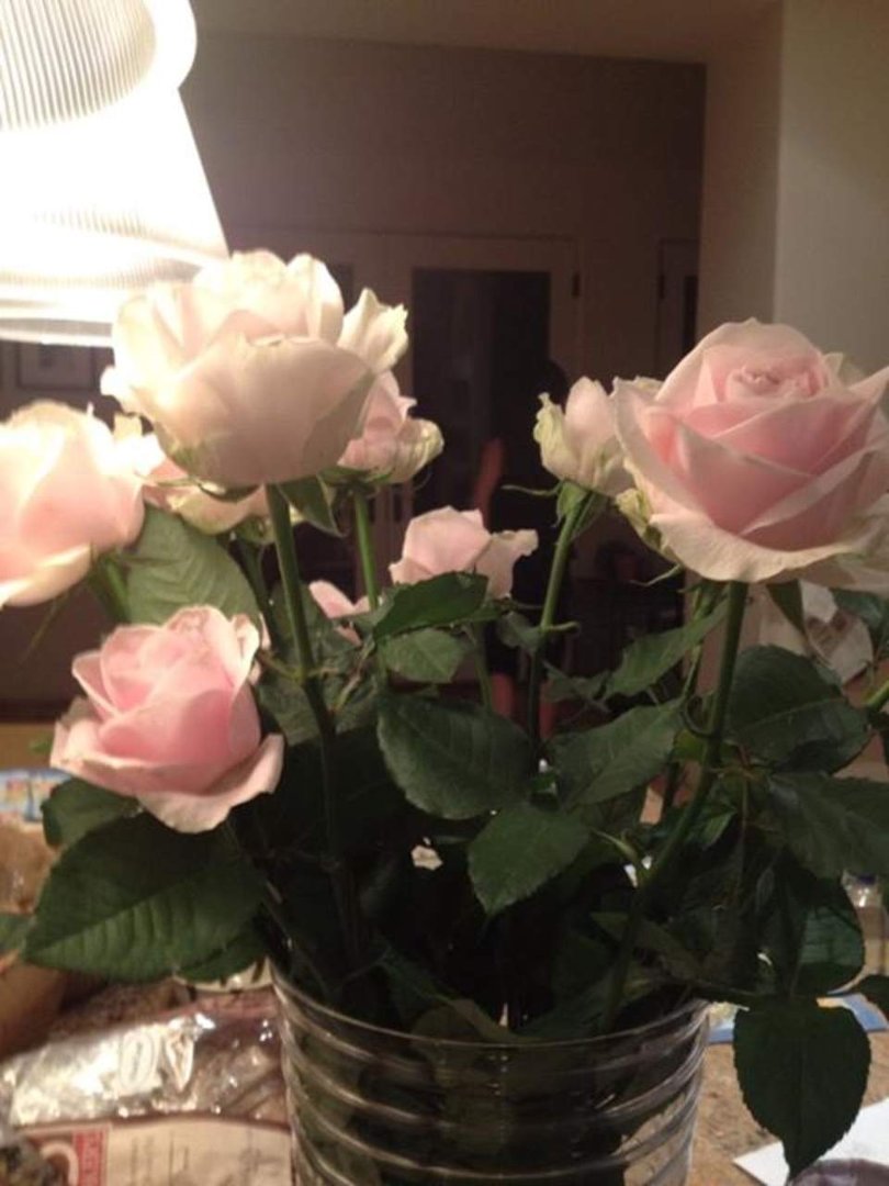 Gabrielle Destries' album, Mobile Uploads