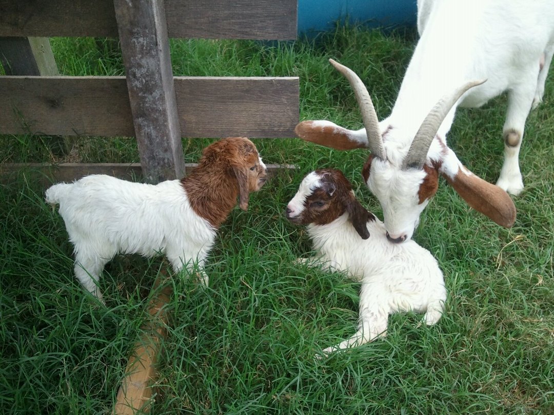 Kathy Eubank's album, Mobile Uploads