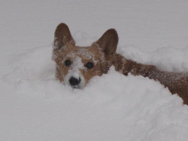 Mark Pennington's album, Timeline Photos