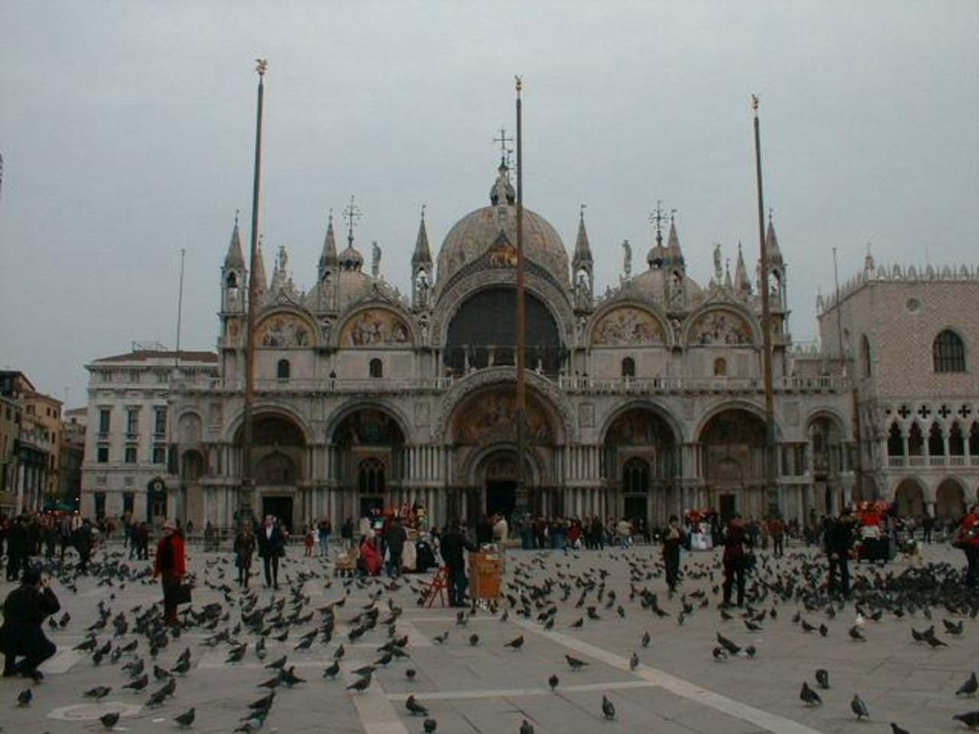Fran Sanchez's album, Timeline Photos
