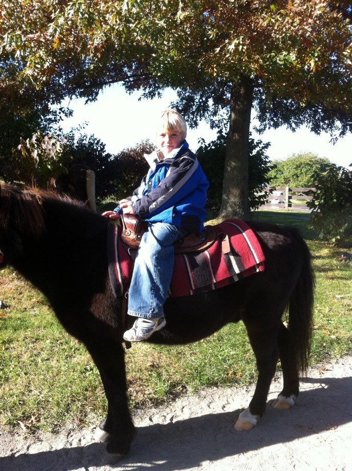 Ellen Brown's album, Mobile Uploads