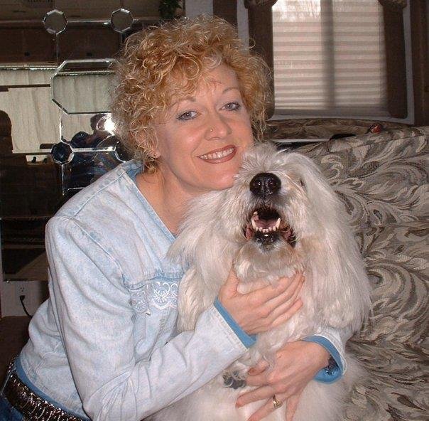 Heidi Hoke-Crook's album, Profile Pictures