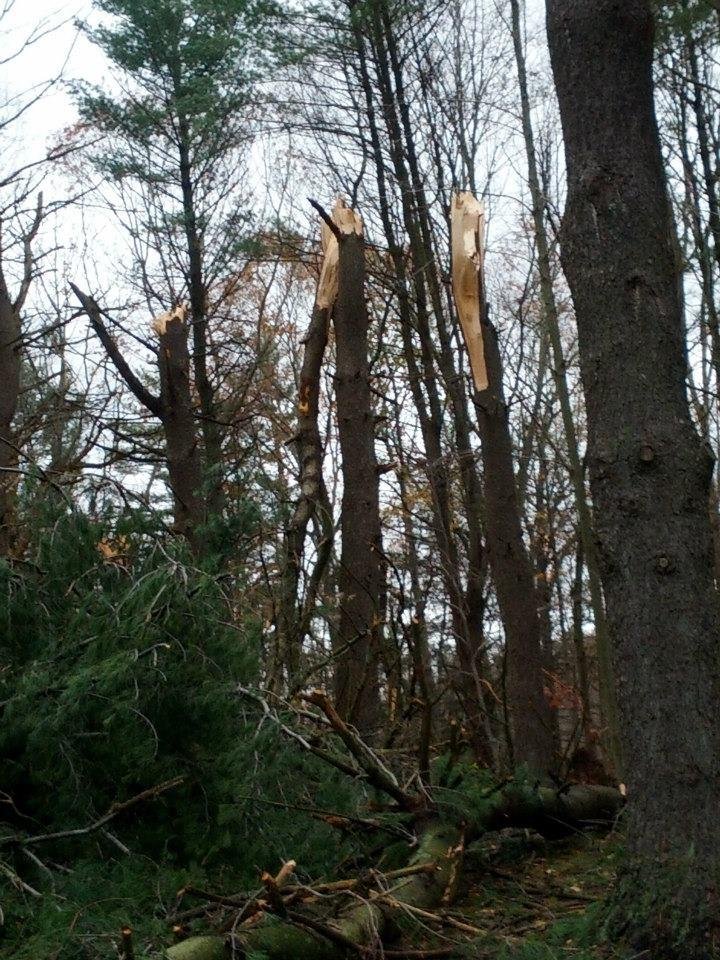David Albin's album, Damage to Mom's house from Sandy