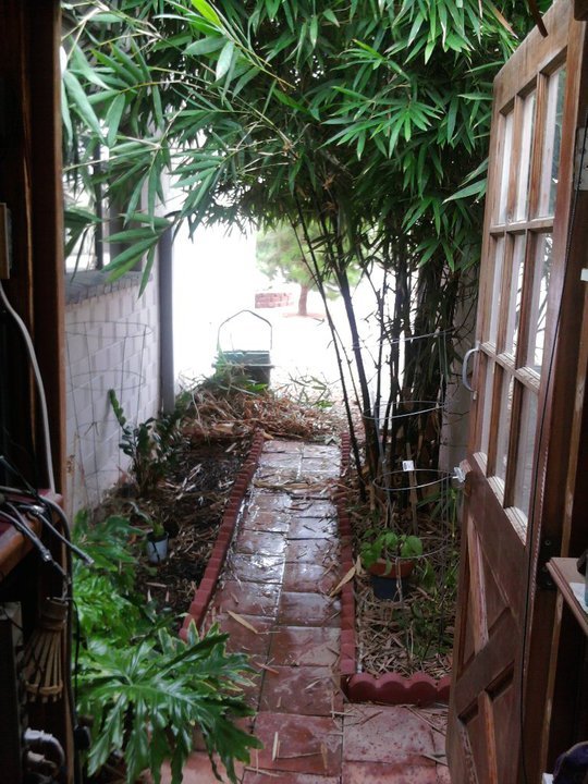 Bob Raymond's album, Bamboo