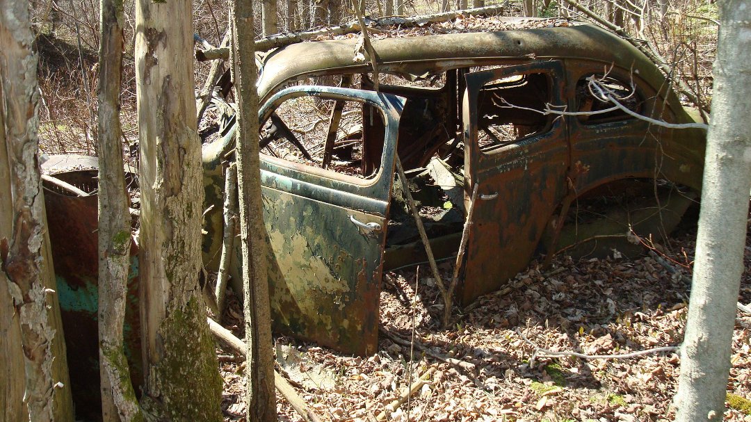Chris Cunningham's album, 'Rustic' Scenes on a Recent Hike