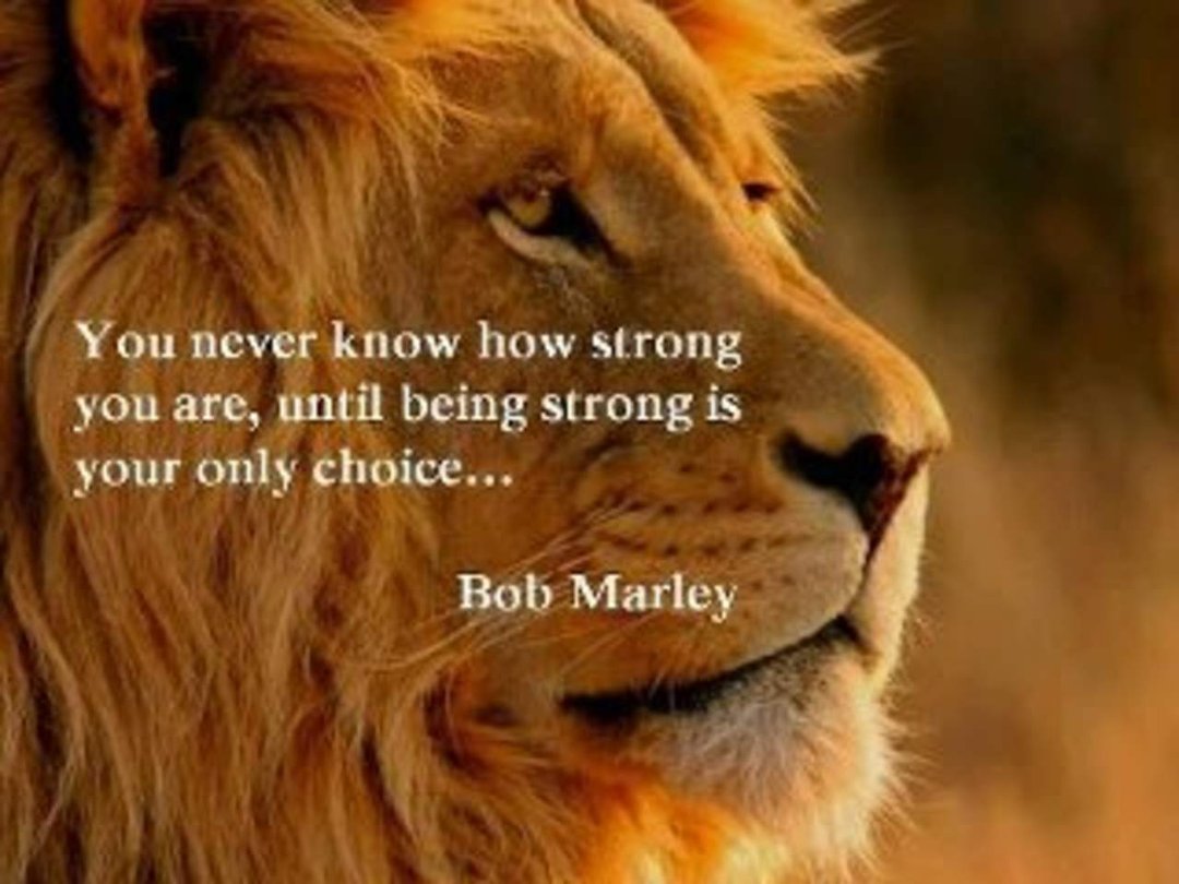 Cindy Burkhardt's album, Cover Photos