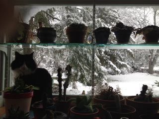 Gerri Chizeck's album, Timeline Photos