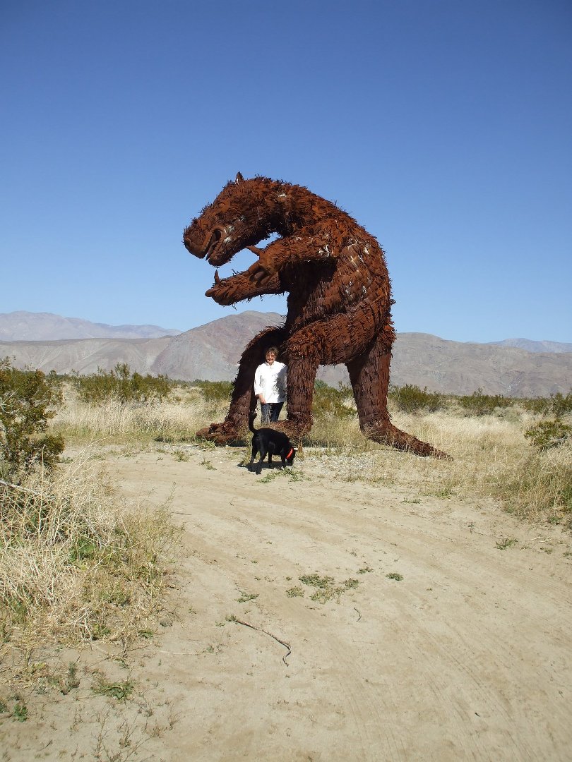 Barbara Webb's album, Anza Borrego 2011
