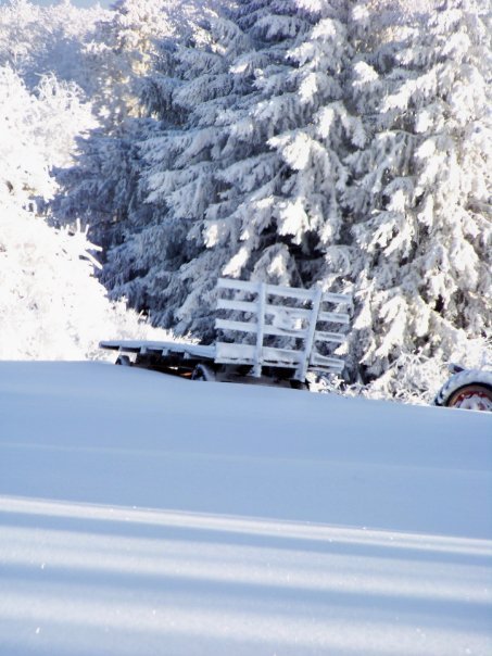 Kathryn Pfendler's album, Snow Day