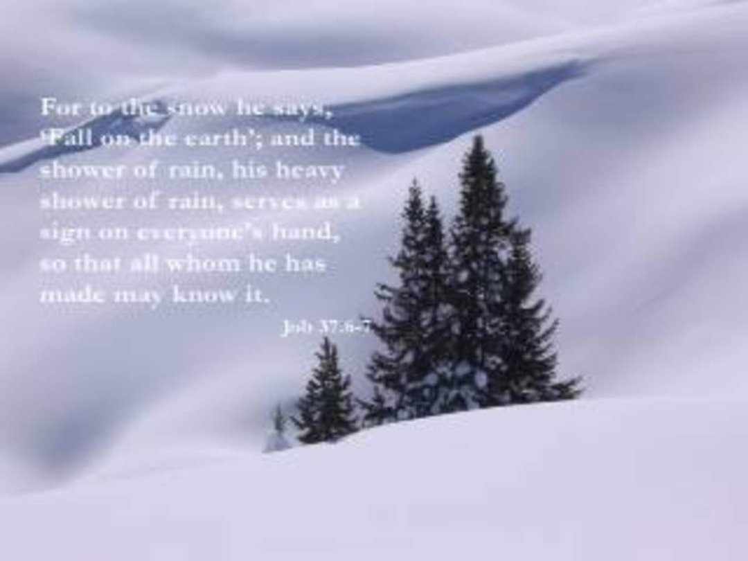 Wanda Caralivanos' album, Timeline Photos
