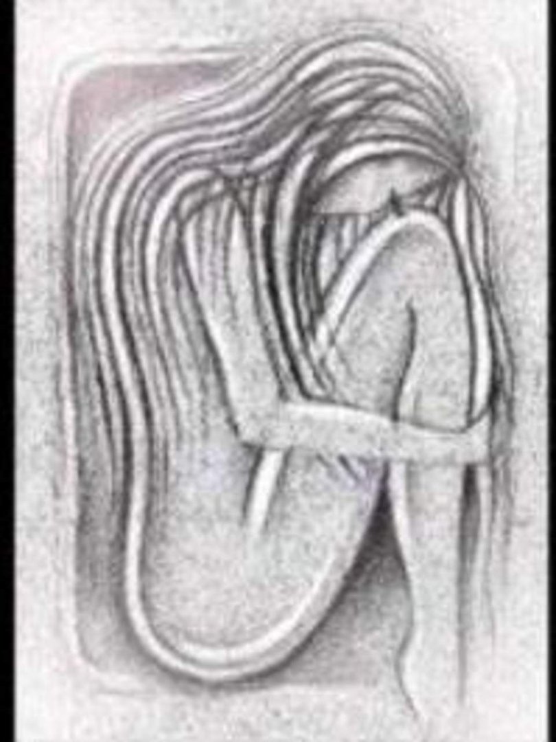Beth weiand's album, Profile Pictures
