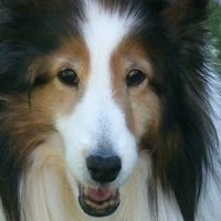 Ginger Wright's album, Profile Pictures