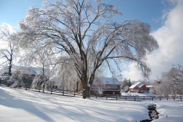 Mike Prather's album, Kentucky Ice Storm 2009