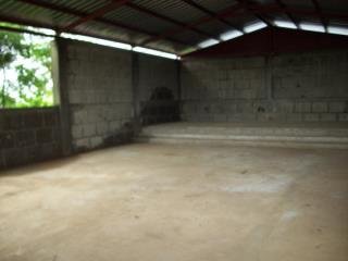 Steve Pledger's album, Nica July 2010
