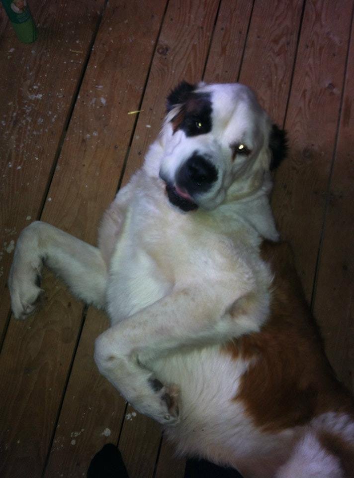 Patrick Roy's album, Betsy