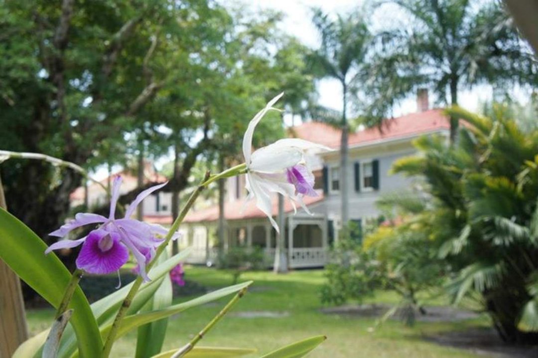 Vicky Chalk's album, 4/13 visit to Fort Meyers