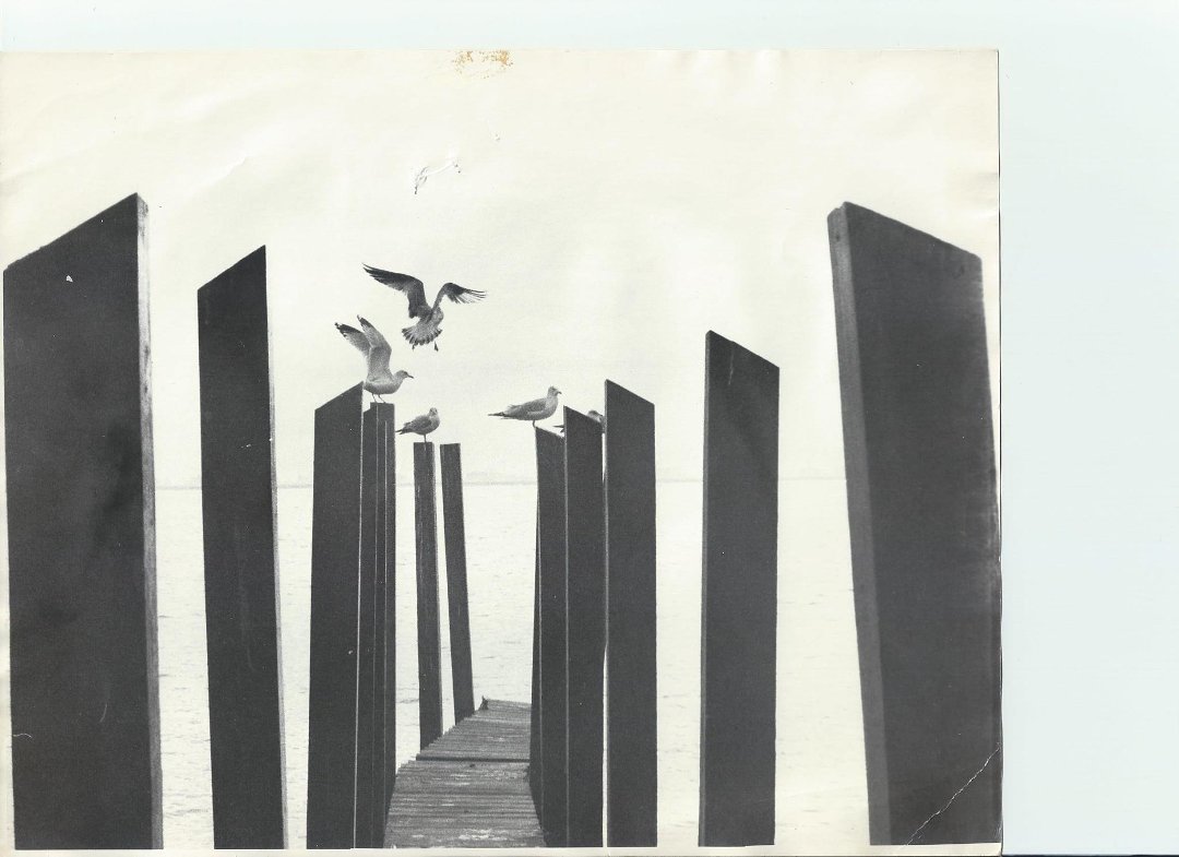 timothy hurst's album, Cover Photos