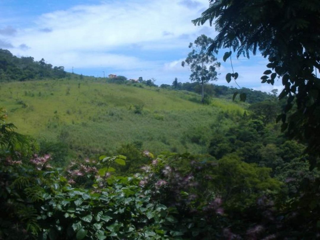 Wesley Scott's album, brazil