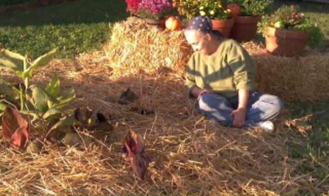 Lori Smith's album, Yay, Autumn Yard Display!