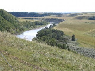 Candace Morrison's album, Calgary 2008