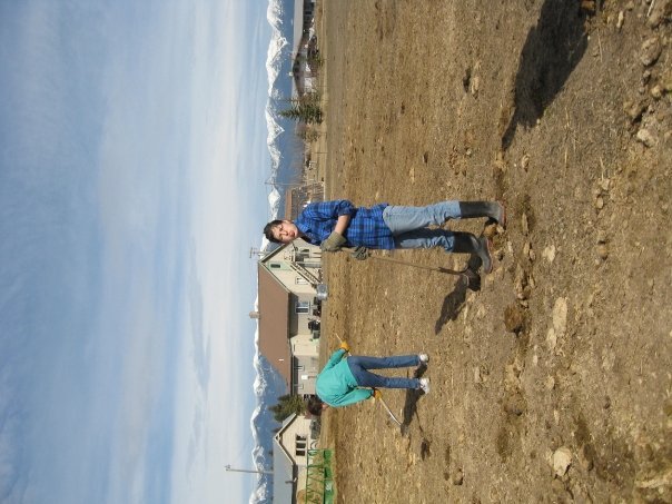 Chris McCormick's album, Light house gardening