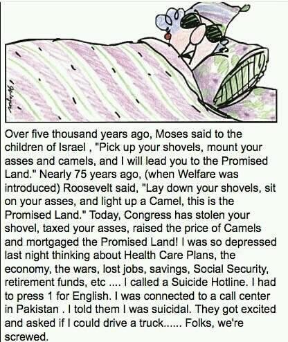 Jeanne Murphy's album, Timeline Photos