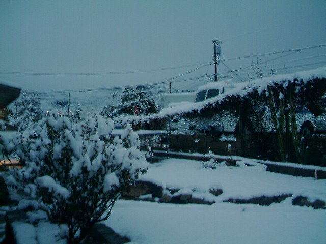 marie aboud's album, February 27, 2011