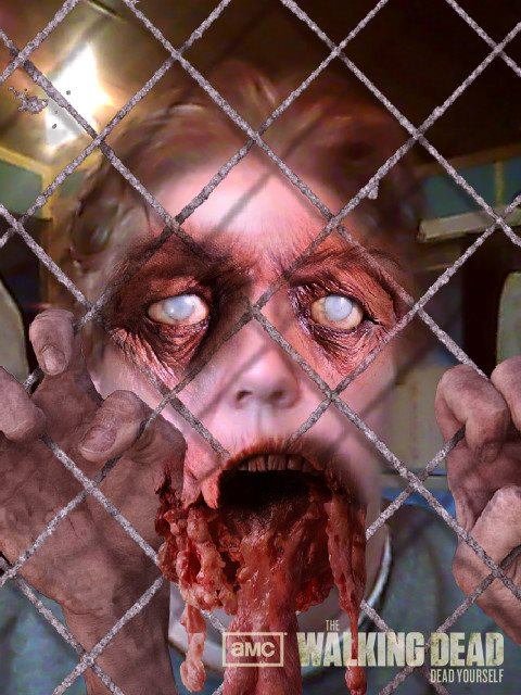 Lisa Hitz's album, The Walking Dead Dead Yourself Photos